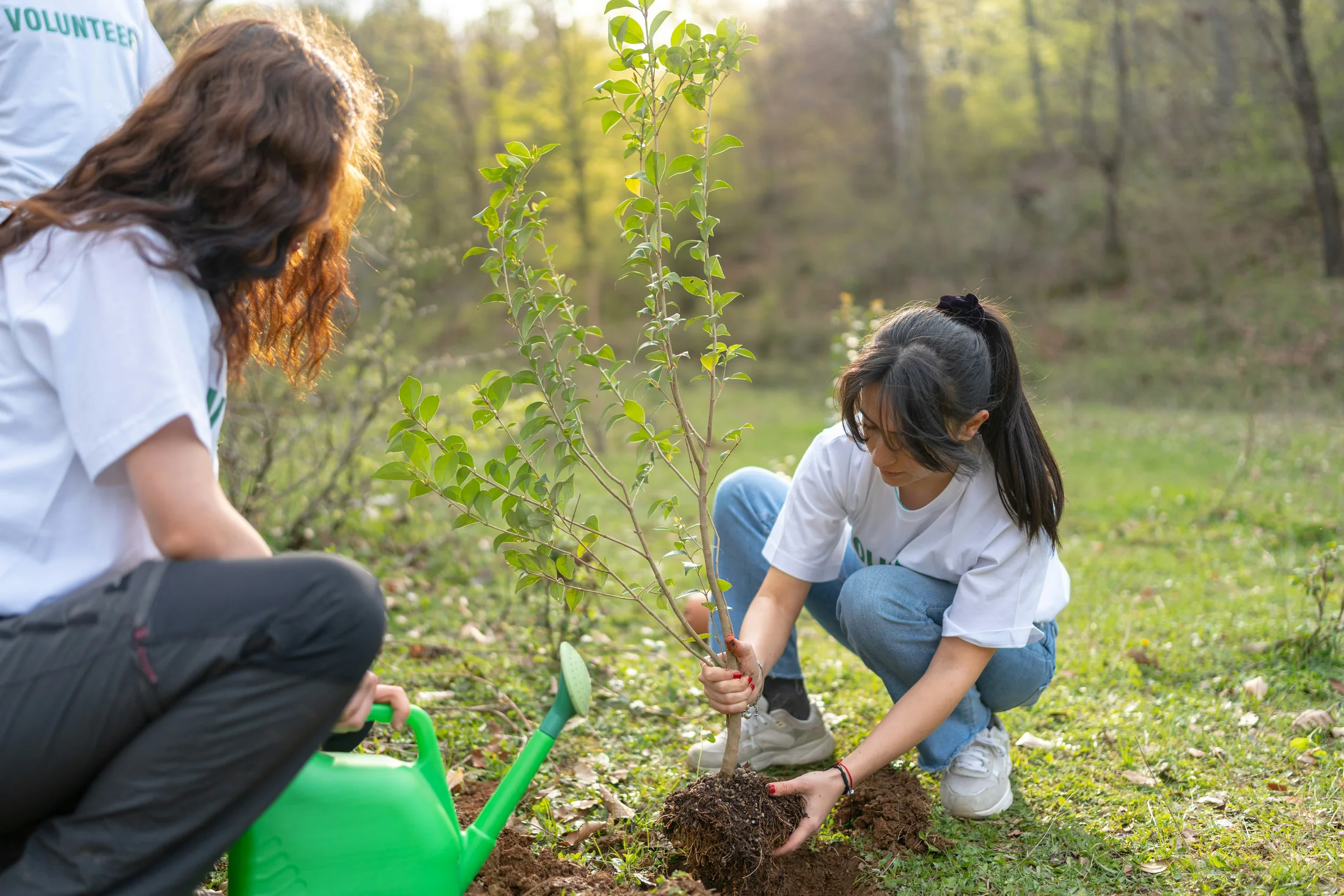 Volunteers tending a community garden
